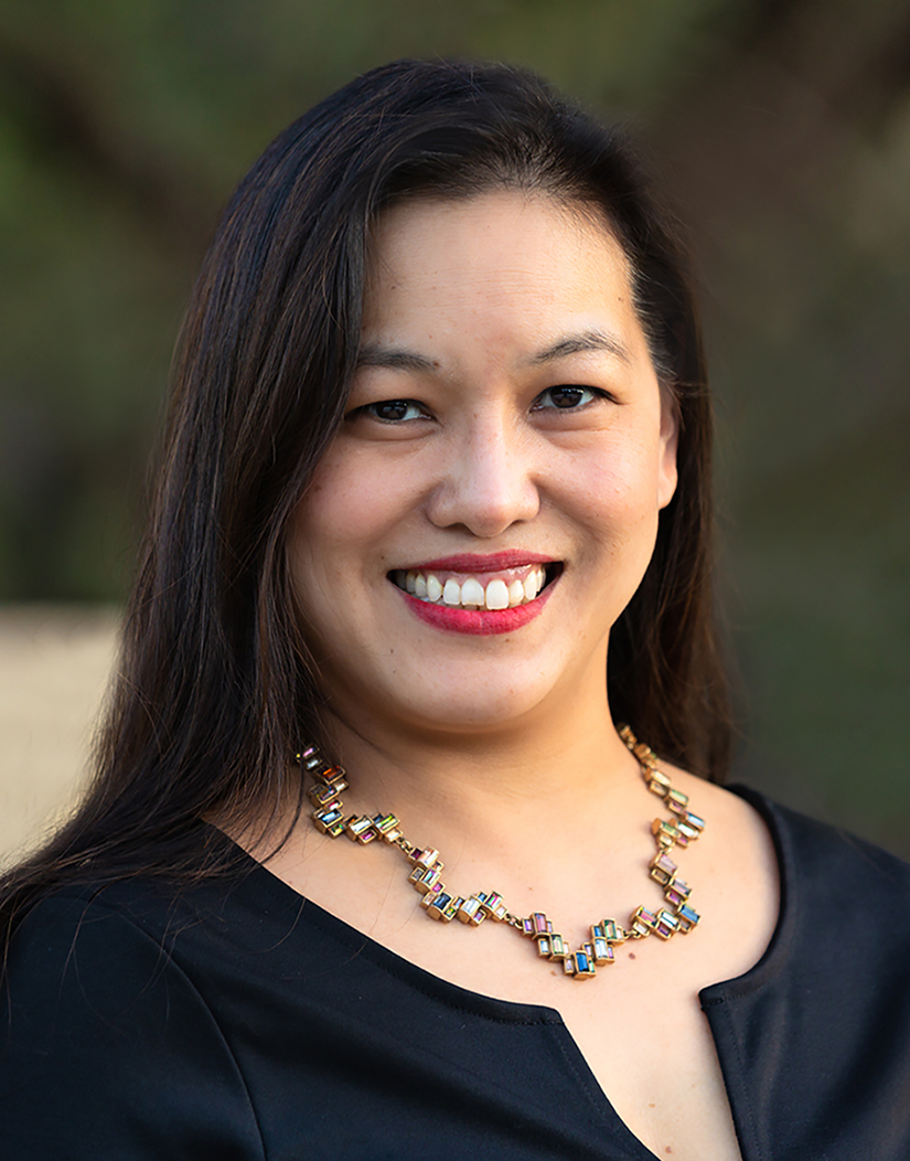 Christine Vinh Weems - Candidate - Texas Supreme Court, Place 4